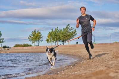 Bungee leiband man canicross bordercollie.