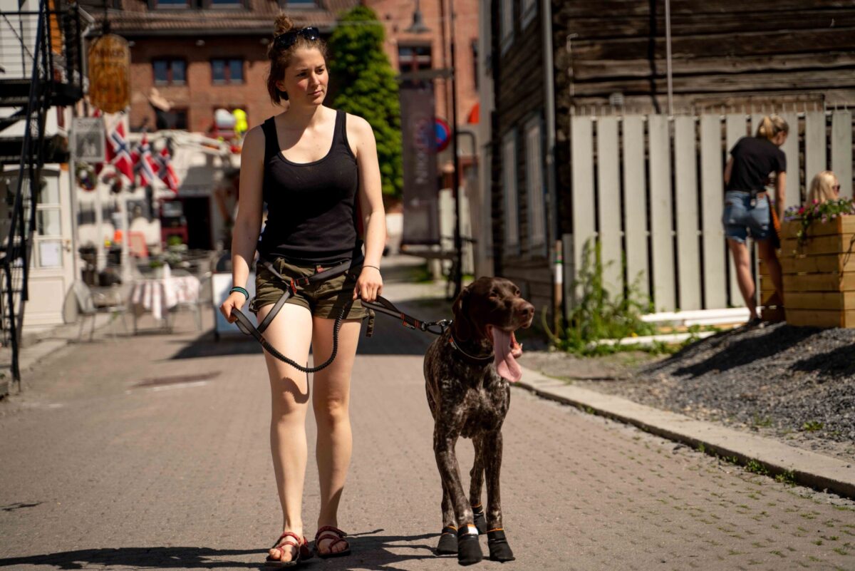 Meisje wandelt handsfree met hond in de stad op een hete dag. Hond draagt Non-stop dogwear Protector Booties en vrouw heeft Adjustable touring leash rond haar heup.