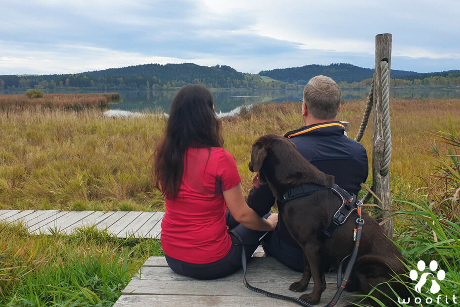 Afbeelding van Nora met het Rock harnas en de verstelbare Touring leiband, zittend in het midden met de rug naar de camera. Links zit Nikita en rechts Pieter, beiden met de rug naar de camera.
