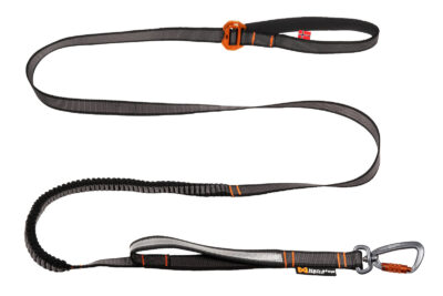Afbeelding van de Touring Bungee Adjustable Leash tegen een witte achtergrond.