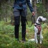Afbeelding van een zittende jachthond in het bos, met de Touring Adjustable Bungee Leash aan het harnas vastgemaakt. De heupen en benen van de eigenaar zijn te zien, en de leiband is rond de heup voor handsfree wandelen.