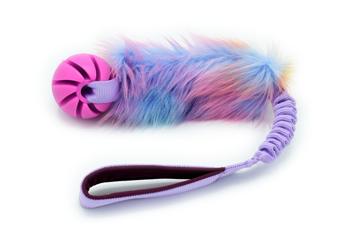 Hondentrekspeeltje Iris regenboog Unicorn hondenspeeltje met regenboogkleuren genaamd Iris.