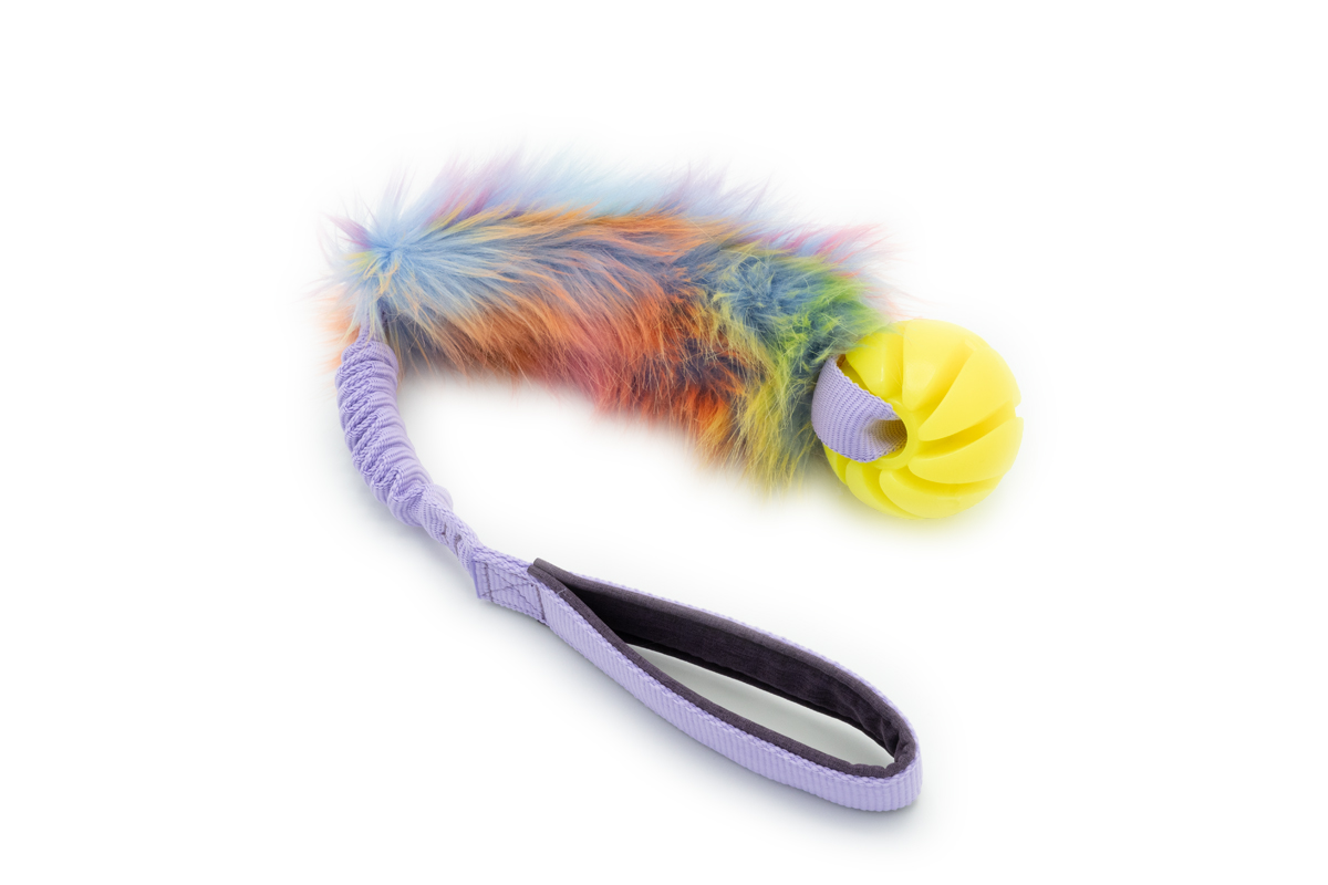 Iris regenboog speelgoed hond Afbeelding van het Iris trekspeeltje met regenboogkleurig imitatiebont, een lila elastisch handvat en een sum-plast spiraalbal.