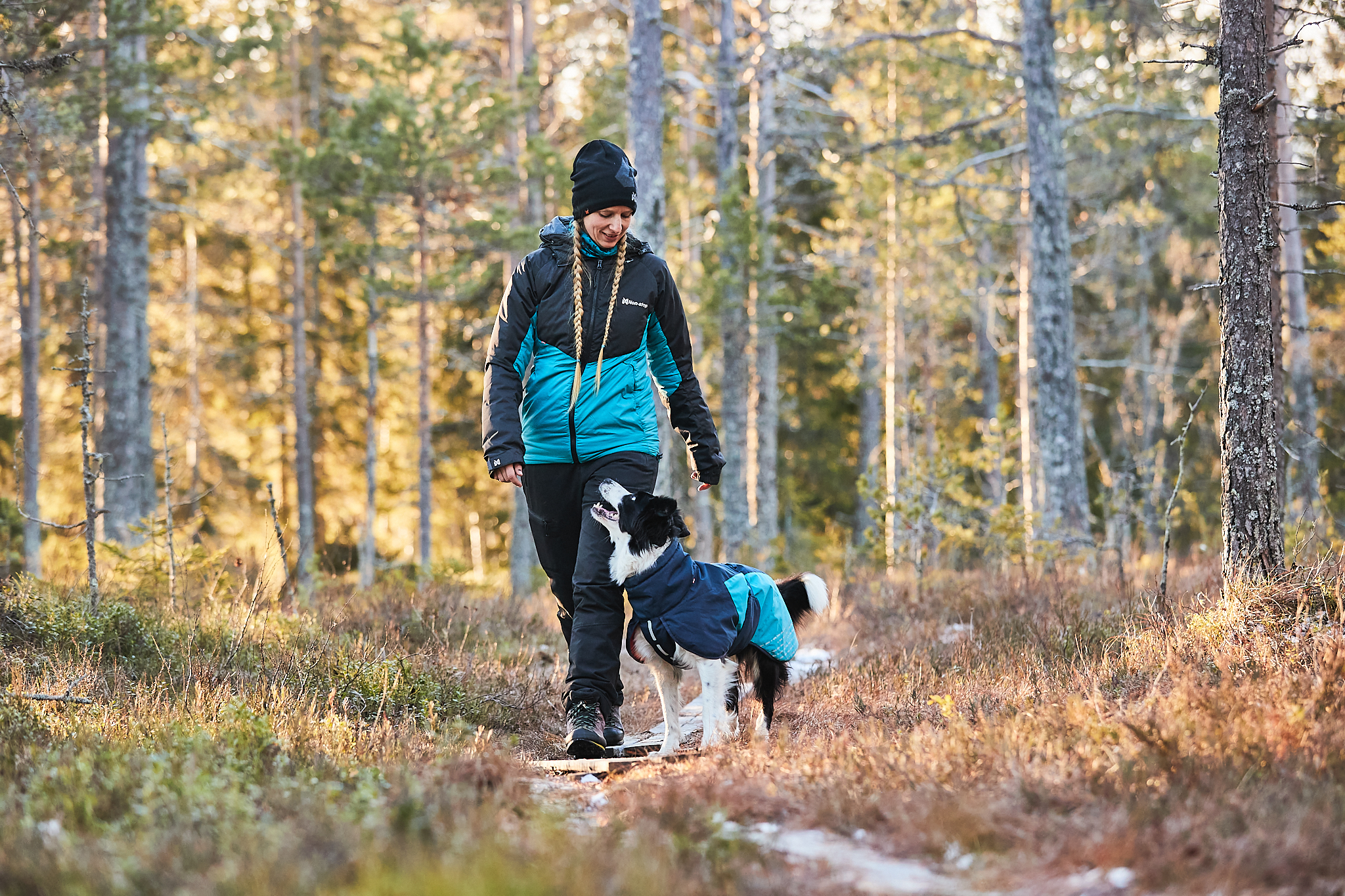 Vrouw met lange blonde vlechten en blauwe winterjas, wandelend in een naaldbos met haar zwart-witte bordercollie in een blauwe Glacier 2.0 winterjas, beiden kijkend naar elkaar