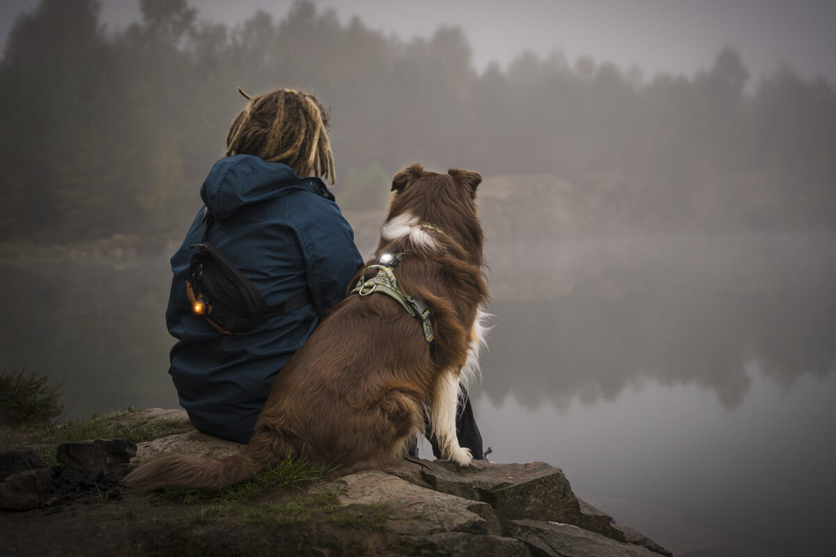 Persoon met dreadlocks en zijn Australian Shepherd zitten samen aan de oever van een mistig meer, met Orbiloc lampjes aan hun tas en halsband.