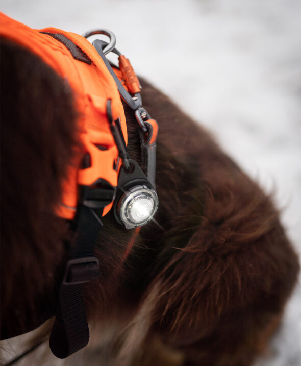 Orbiloc Dog Dual Carabiner zwart