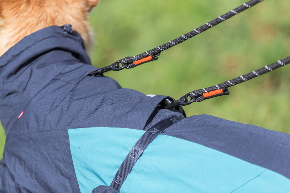 Glacier hondenjas blauw Mila Blauwe hondenjas (Glacier 2.0 van Non-stop dogwear) met twee openingen voor leiband, inclusief Rock leash.