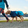 Ruwharige hond met blauwe Glacier 2.0 winterjas, aangelijnd, wandelend met een persoon in rode broek en matchende blauwe jas