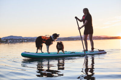 Suppende dame met border collie en dwergkees bij zonsondergang.