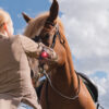 Vrouw aait paard op het hoofd, draagt Orbiloc armband met rood licht (sports kit) om haar arm.