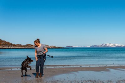 Spelende ruwharige hond aan sterke leiband (Strong Leash) van Non-stop Dogwear aan het strand, met helderblauw water en besneeuwde bergen op de achtergrond.