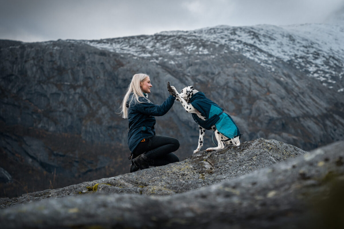 Vrouw en dalmatiër geven elkaar een high-five op een bergtop. De hond draagt de navy glacier 2.0 winterjas.