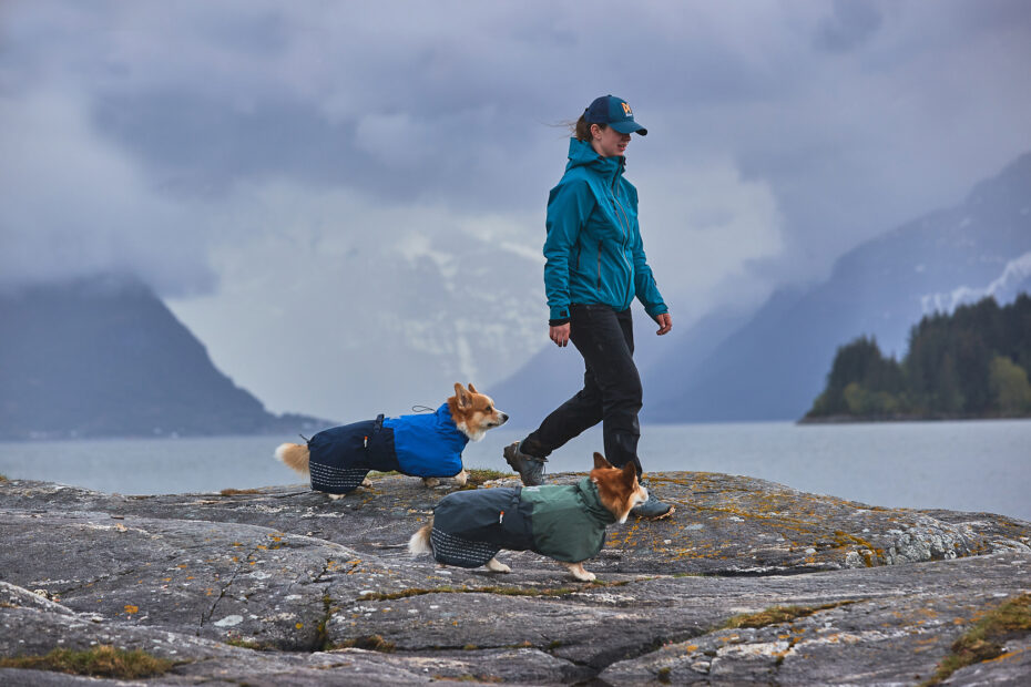 Bergwandeling met twee corgi's en een vrouw, het is bewolkt en elke corgi draagt een regenjas van Non-stop dogwear.