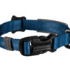 Detailfoto van de sluiting van de puppyhalsband in het blauw.