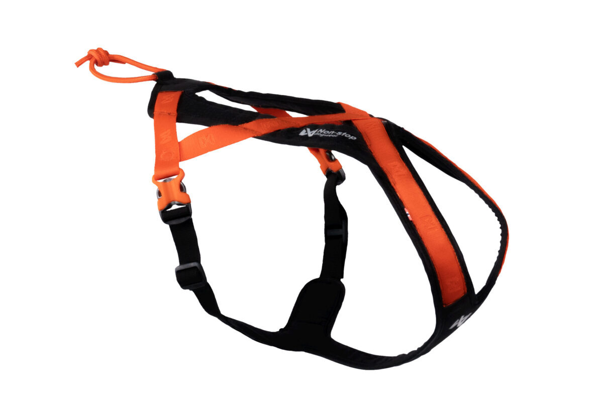 Productfoto van het Rush Harnas van Non-stop dogwear in het oranje-zwart