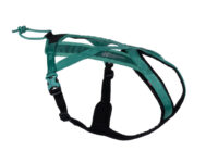 Productfoto van het kort Rush Harness van non-stop dogwear in de kleur appelblauwzeegroen (teal)