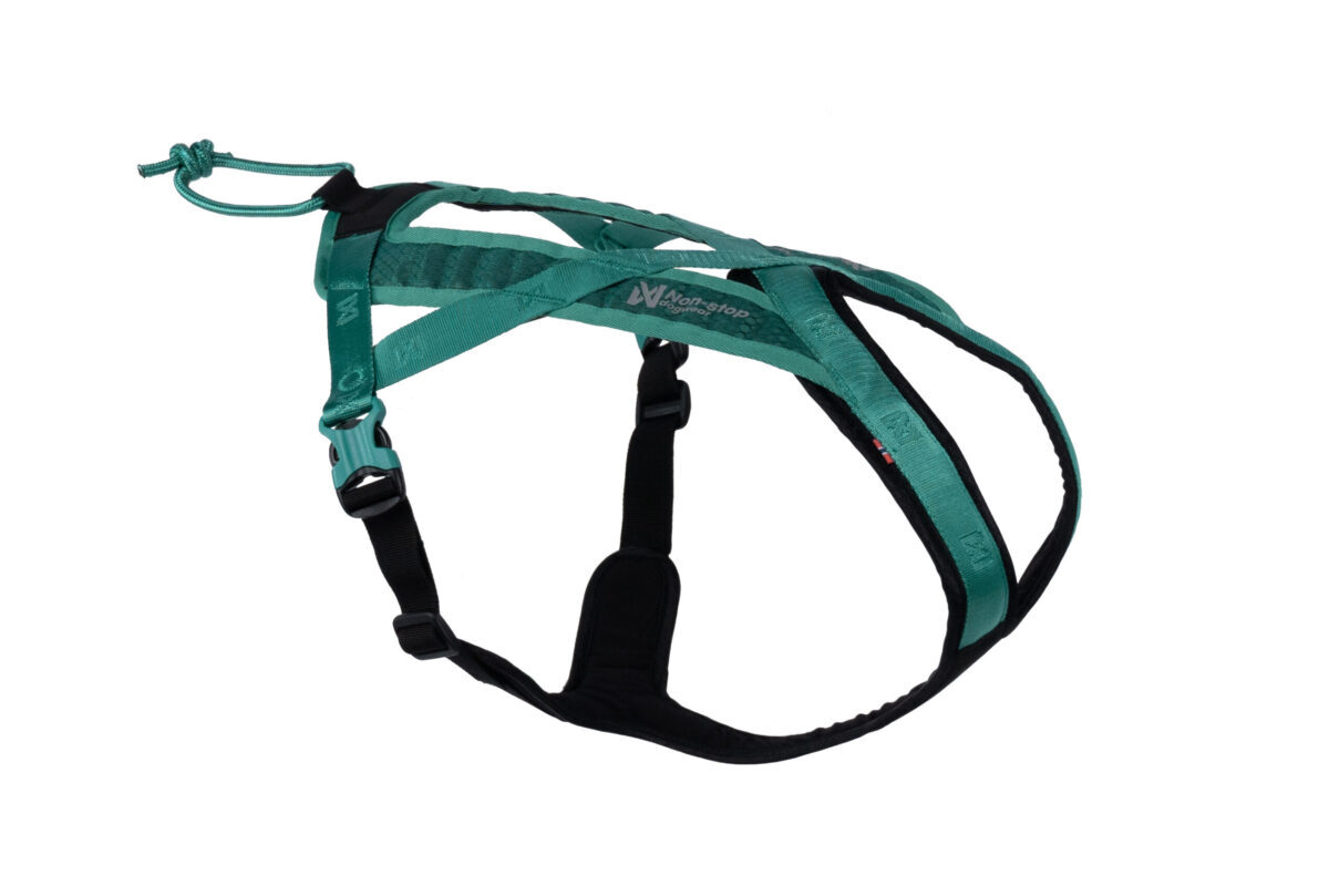 Productfoto van het kort Rush Harness van non-stop dogwear in de kleur appelblauwzeegroen (teal)