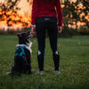 Border collie en baasje bij zonsondergang met het Rush harness van Non-stop dogwear.