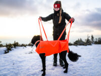 Vrouw met ingevlochten haar en een muts toont de riemen aan de hondendraagzak in een winters landschap.