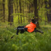 Duitse staande hond (GSP) Rent in het bos met flapperende oren en een regenjas dat vooraan oranje is en achteraan zwart.